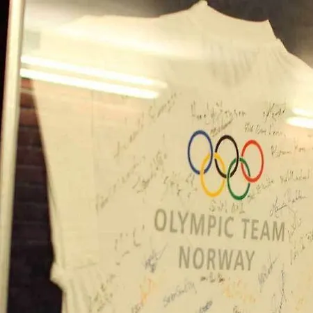 Hotell Olympiatoppen Sportshotel - Scandic Partner