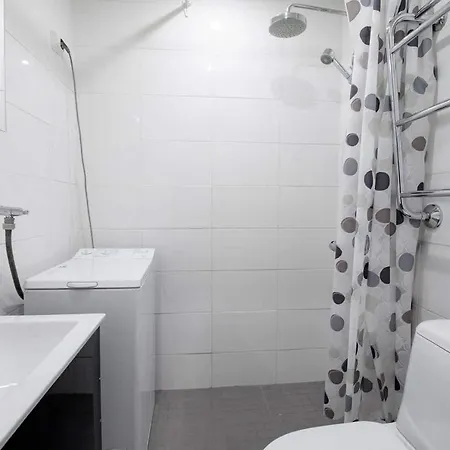 Leilighet Til Leie Apartment