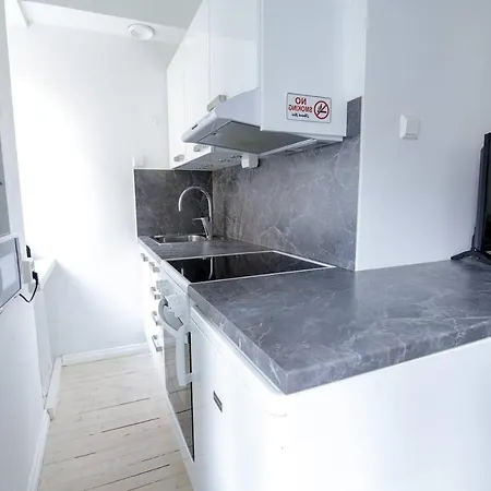 Leilighet Til Leie Apartment Oslo
