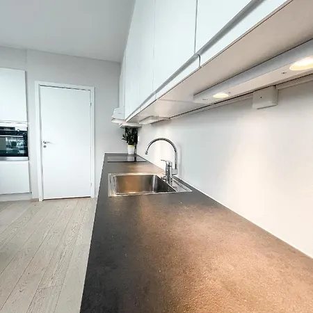 Kwatera prywatna Center Penthouse