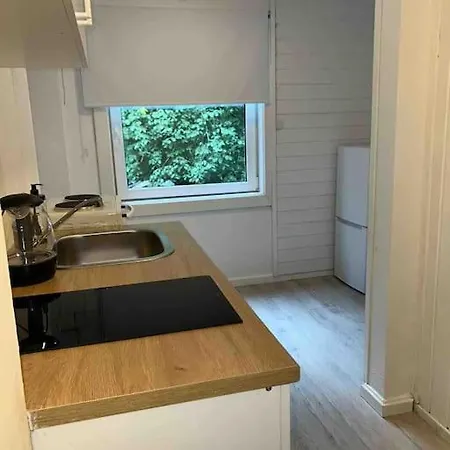 Sentral Leilighet I Gamle Appartement *