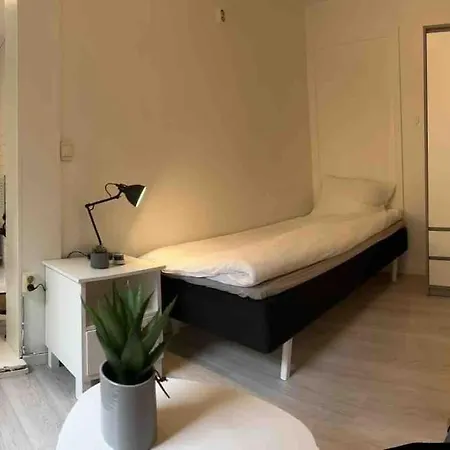 Sentral Leilighet I Gamle Appartement