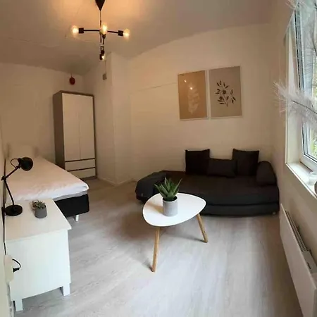 Sentral Leilighet I Gamle Appartement *