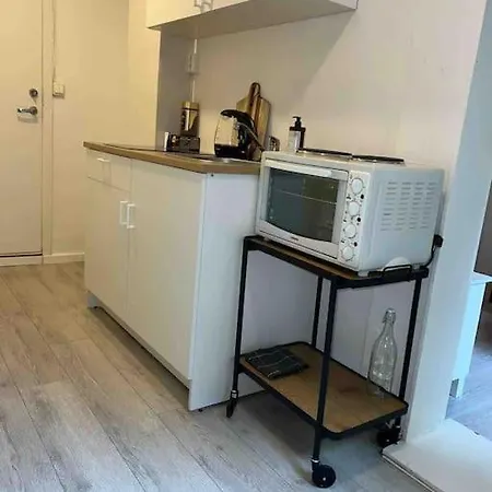 Sentral Leilighet I Gamle Appartement *