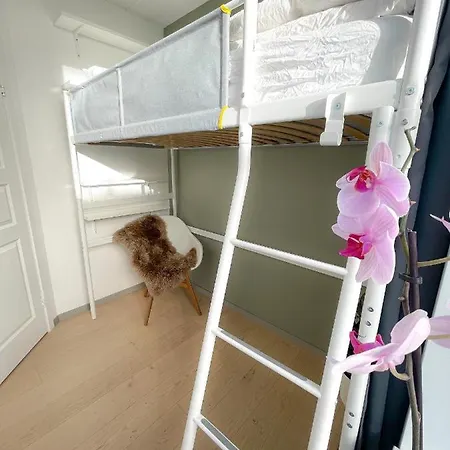 Center Penthouse Homestay *