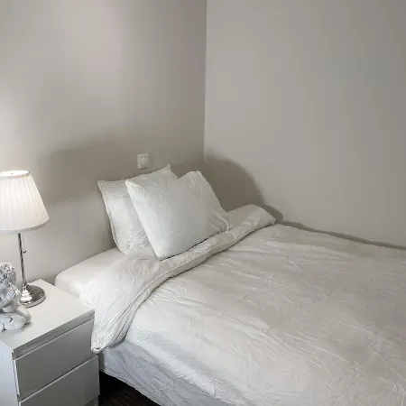 City Center Royal Pallace Guest house