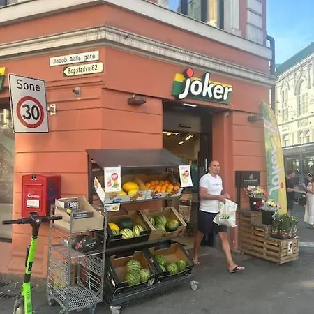 35m2 In Central Leilighet Oslo
