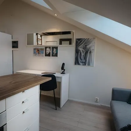 아파트 Cozy Loft In 오슬로