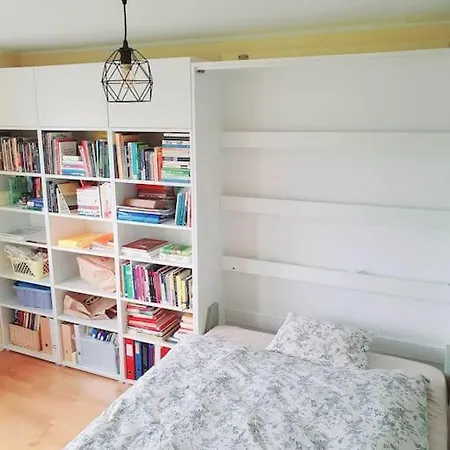 - Quiet And Cosy With Cat And Garden Oslo