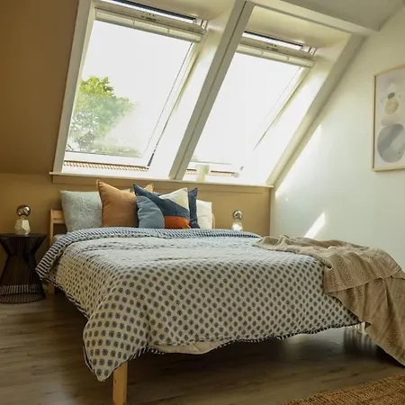 Modern And Cozy Apartment