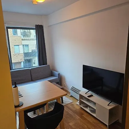 Leilighet Small Dorm 6 Min From Centralstation!