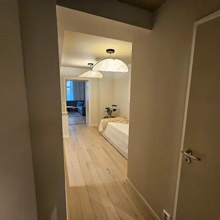 Apartment With Balcony In Erling Skjalgssons *