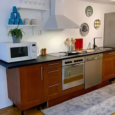 Center Flat With Balcony & Free Parking Leilighet Oslo