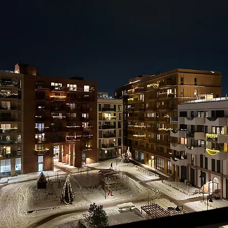 An Elegant And Modern Apartment In Bjorvika Oslo
