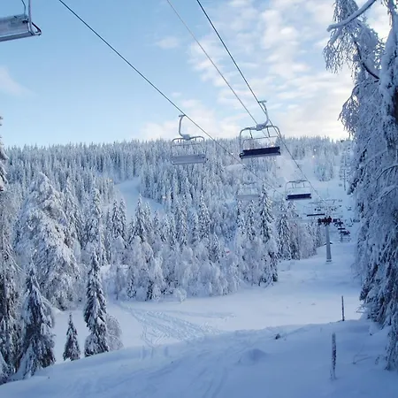 Leilighet Holmenkollen Forest House Free Parking
