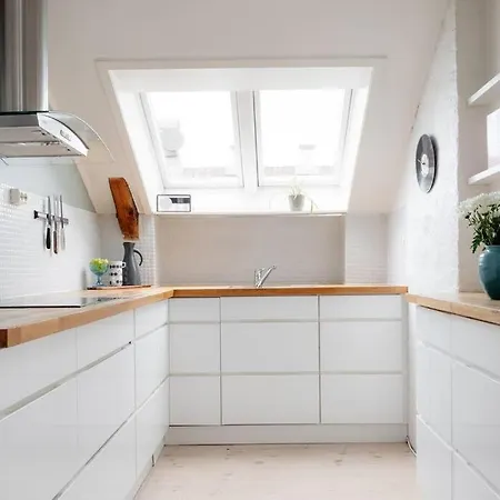Leilighet Large Loft - Private Rooftop Terrace - Old Town Oslo