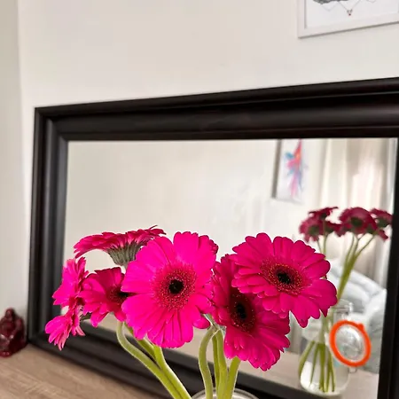In Centrum Serenity Homestay