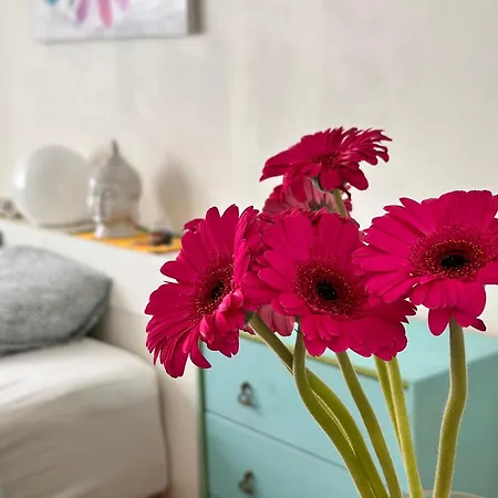 In Centrum Serenity Homestay Oslo