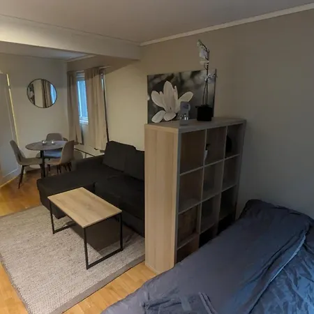 Sjarmerende Og Sentral Hybel Med Egen Inngang Leilighet Oslo