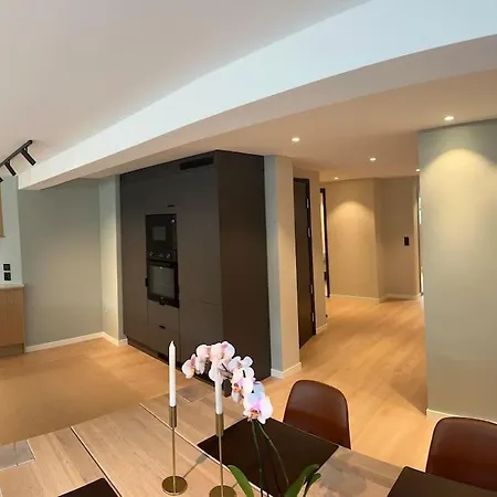 Stor Og Lys Leilighet I Hus Apartment
