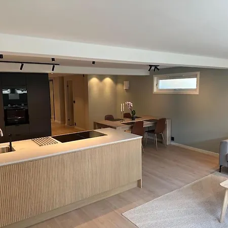 Apartment Stor Og Lys Leilighet I Hus Oslo