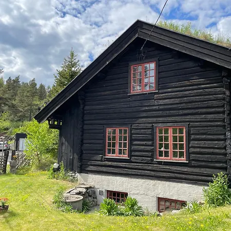 Prázdninový dům Hallingstua Oslo