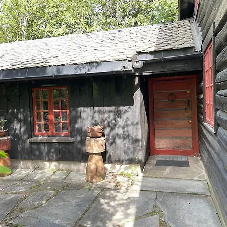 Prázdninový dům Hallingstua