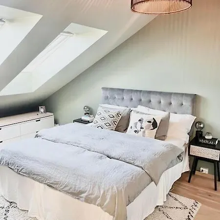 Lejlighed Penthouse With Unique Rooftop Terrace Oslo