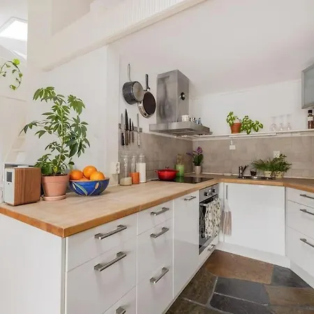 Loft In Oslo