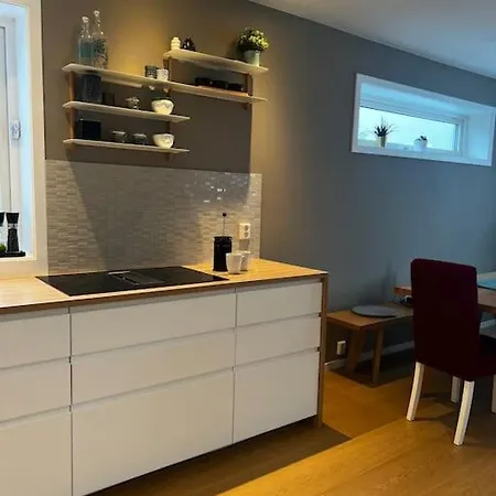 Flott Enebolig Med Kort Vei Til Sentrum Holiday home *