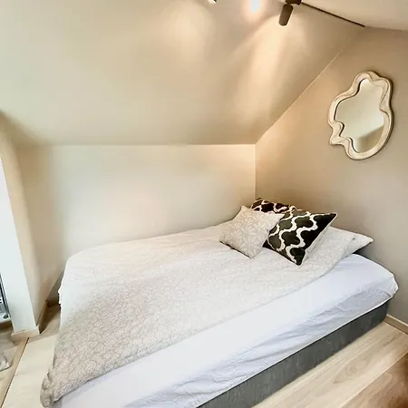 Penthouse With Unique Rooftop Terrace Lejlighed *