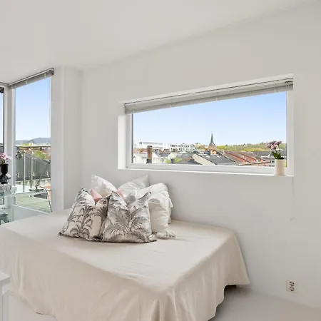 Penthouse In Leilighet Oslo