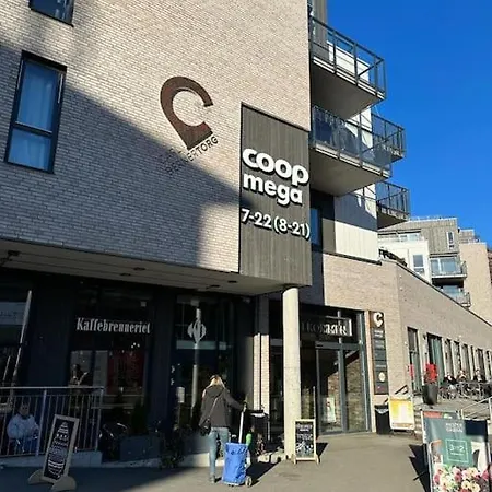 Med Takterasse & Gratis Egen Parkering 奥斯陆