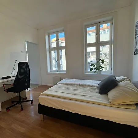 Fast Wifi Working Place Cozy Oslo