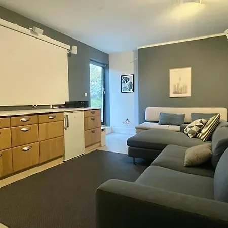 New And Spacious House With Fireplace