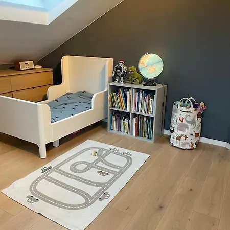 New And Spacious House With Fireplace Villa Oslo