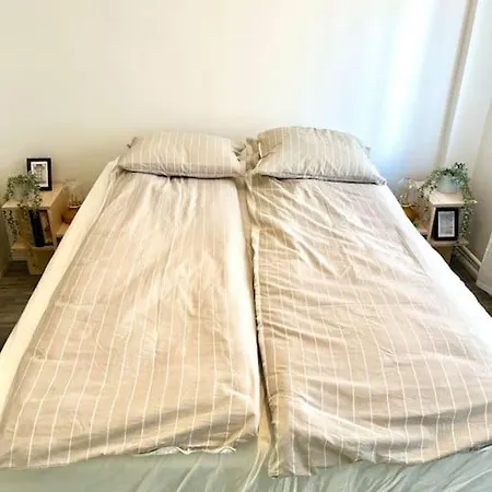 Experience Nordic Nest In Urban Apartment Oslo