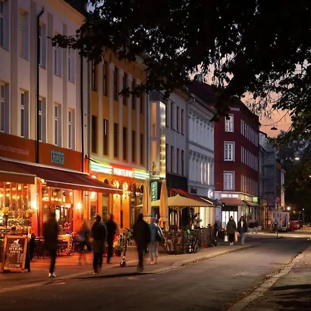 Dinbnb Gruenerlokka I Penthouse With Private Rooftop I 2 Bedrooms & 1 Bathroom * Oslo