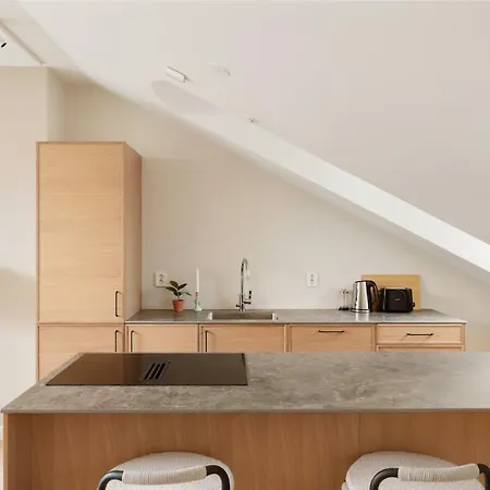 Apartment Dinbnb Gruenerlokka I Penthouse With Private Rooftop I 2 Bedrooms & 1 Bathroom