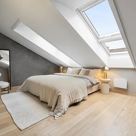 Penthouse With A Private Rooftop Terrace * Oslo