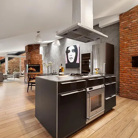 Penthouse With A Private Rooftop Terrace Apartment