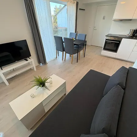 Lisas Apartment, Private New 1 Bedroom And 1 Living With Sofa Bed And Big Windows, Share With Nobody Apartment Oslo