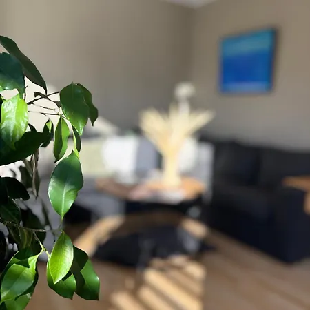 Penthouse Chimera Eiendom