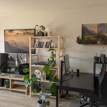 Spacious And Cozy Study With Balcony Apartment