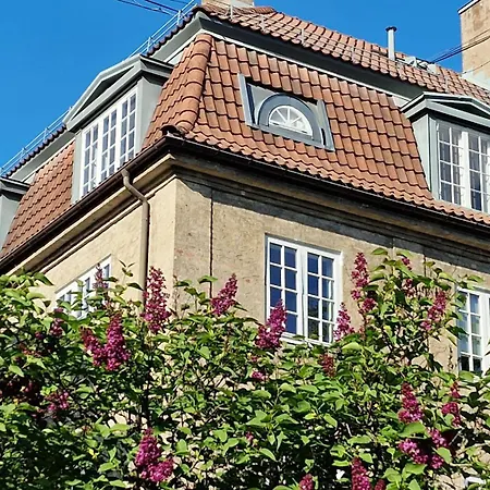 Frederik Stang's Garden