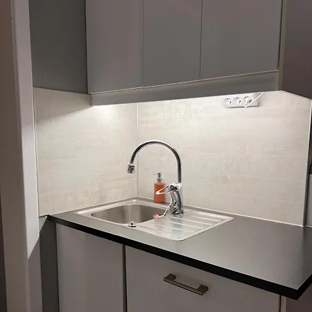 Center Close To Kings Palace * Oslo