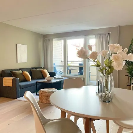 Apartment Renovated 2025, Lux