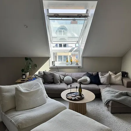 Apartment Modern Penthouse, Centrally Located At Bogstadveien *