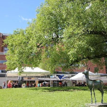 Apartment Nordic Host - Ostre Elvebakke 5 *