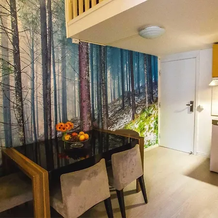 Lägenhetshotell Central City Apartments